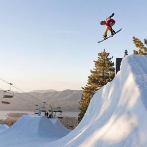 Meet your Posher, Hollis